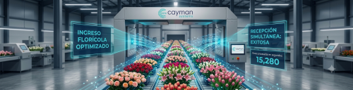 RFID para floricolas